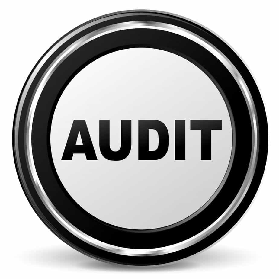 Vector audit icon - AVERBES Personnel Audits